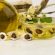 Olejek moringa, czyli cudowne działanie naturalnych olejków na włosy